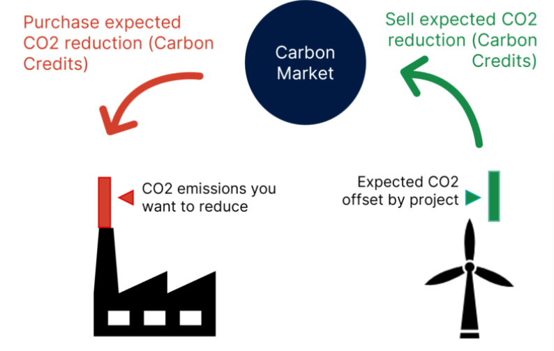 How do voluntary carbon markets work