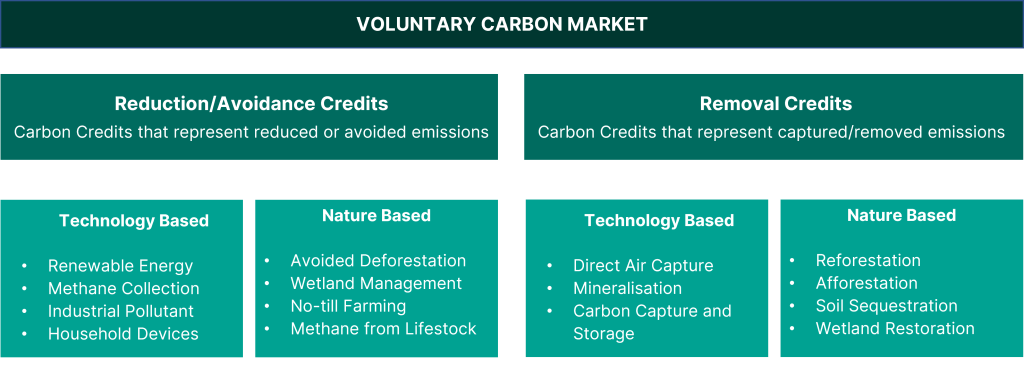 Types of projects in the Voluntary Carbon Market - Technology based and nature based solutions. Avoidance and removal credits